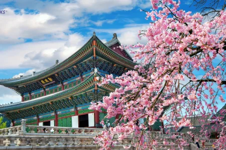 du lịch hàn quốc