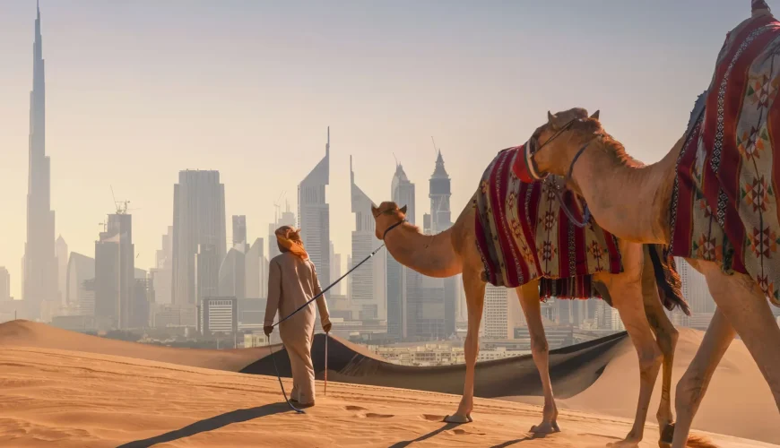 Tour Dubai