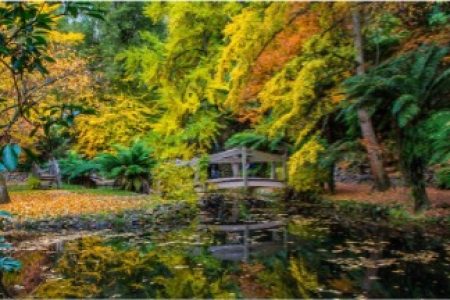 TOUR SYDNEY – MELBOUNRE – PHÁO HOA – FREEDAY [7N6Đ]