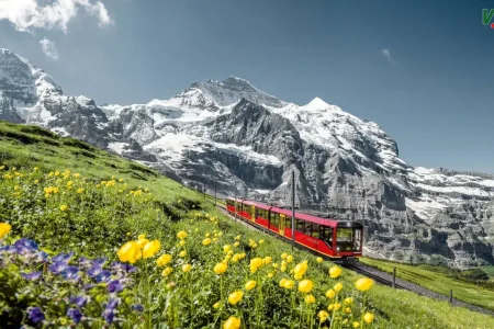 TOUR THỤY SĨ – HÀ LAN [8N7Đ]