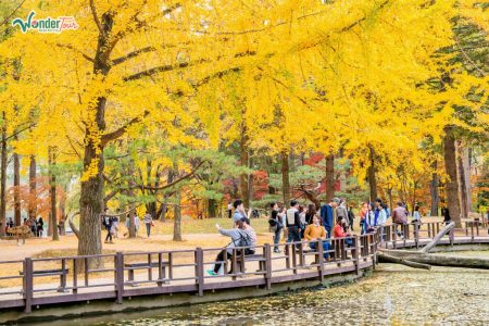TOUR SEOUL-NAMI-EVERLAND [4N4Đ]
