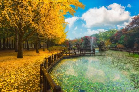TOUR SEOUL – NAMI – EVERLAND [5N4Đ]